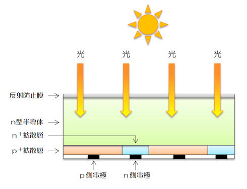 バックコンタクト型太陽電池の電極